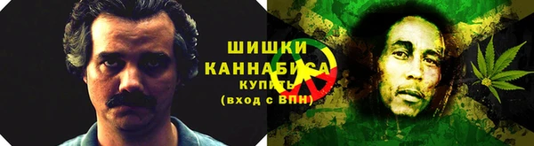 гидропоника Алзамай