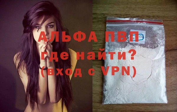 spice Волосово