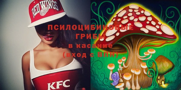 спиды Алексеевка