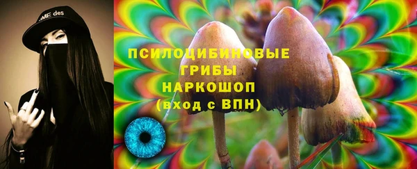 скорость Дмитриев