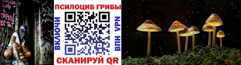 нарко площадка Telegram  хочу   Сясьстрой  Галлюциногенные грибы GOLDEN TEACHER 